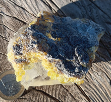 Zinkblende xx ( Sphalerit ) auf Steinsalz xx ( !!!! )