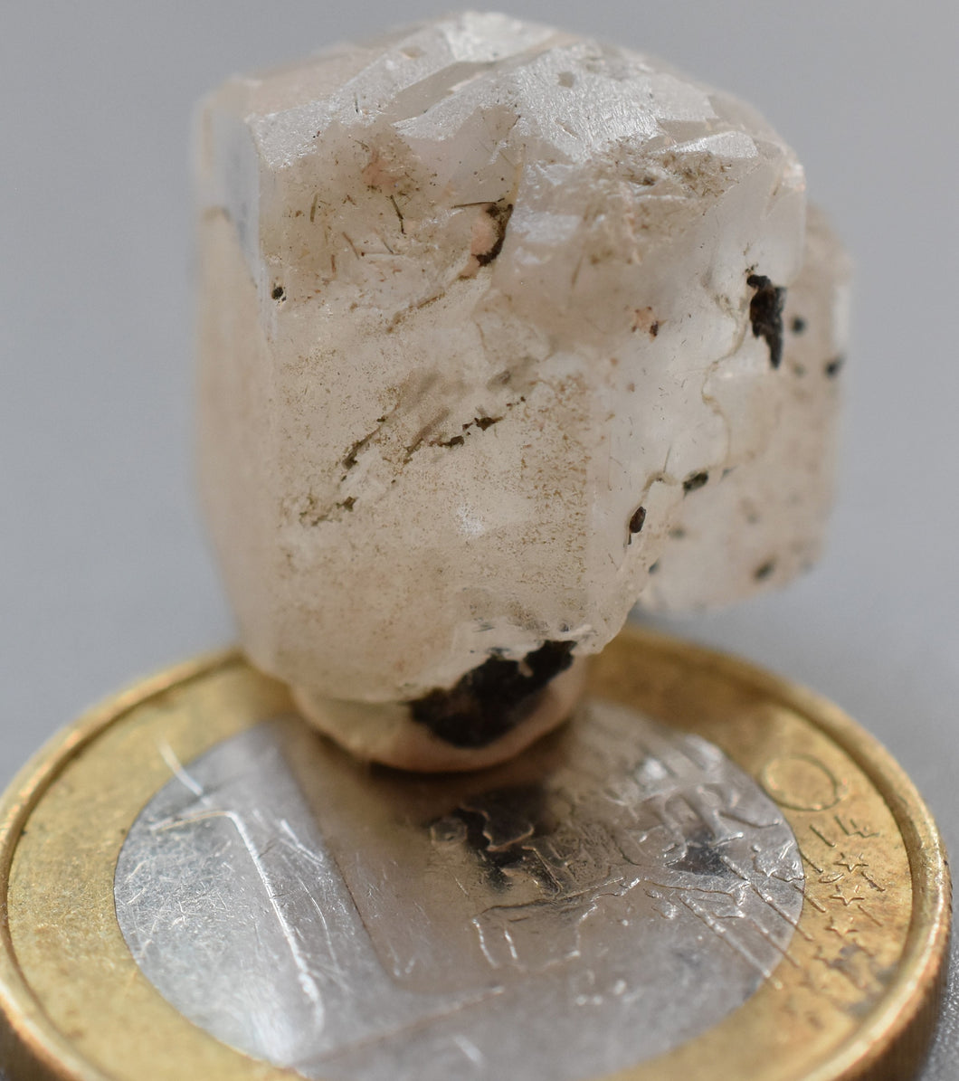 zircon x