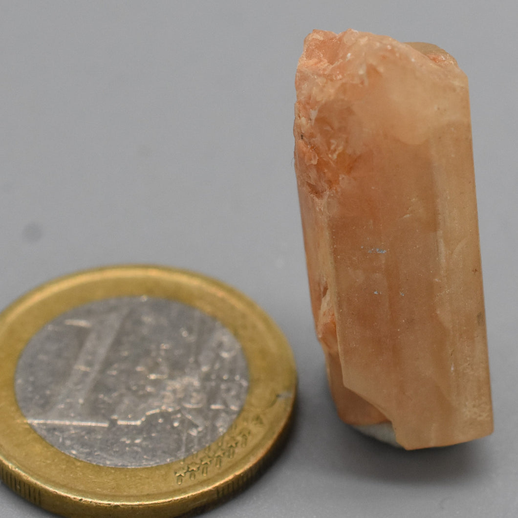 zircon x