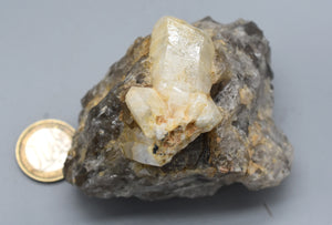 zircon x