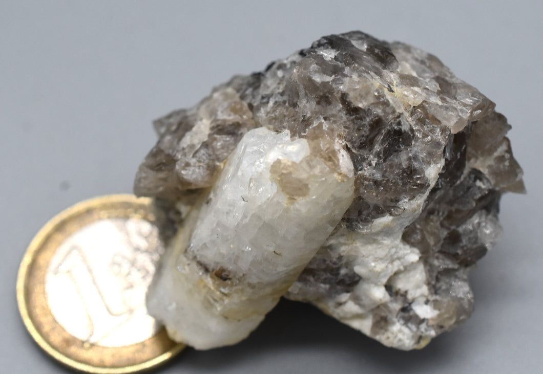 zircon x