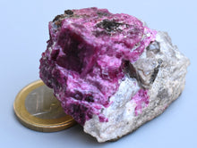 Béhierit xx