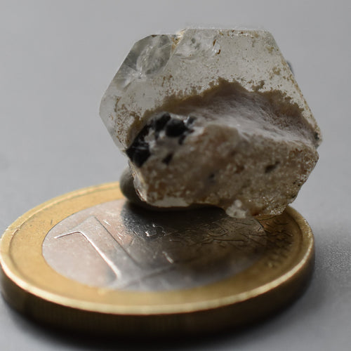 zircon x