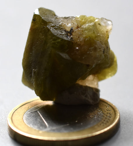 Chrysobéryl x