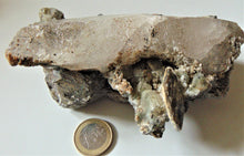 Arsénopyrite xx (gravier d'arsenic) avec cristal de roche
