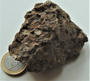 Bronzite xx
