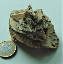 Calcite pseudomorphe d'après Glauberite xx