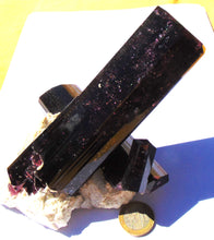 Liddicoatite xx ( Tourmaline )