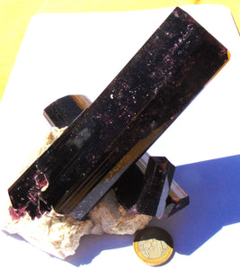 Liddicoatite xx ( Tourmaline )