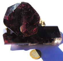 Liddicoatite xx ( Tourmaline )