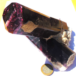Liddicoatite xx ( Tourmaline )