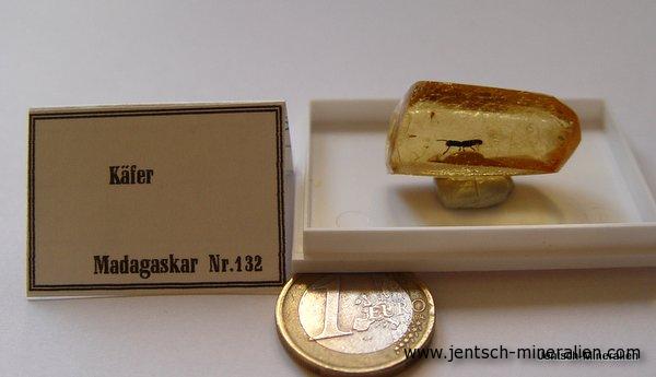 Käfer