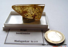 Raupe, Insekteneier